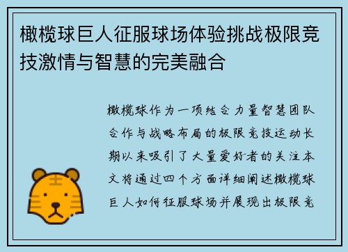 橄榄球巨人征服球场体验挑战极限竞技激情与智慧的完美融合
